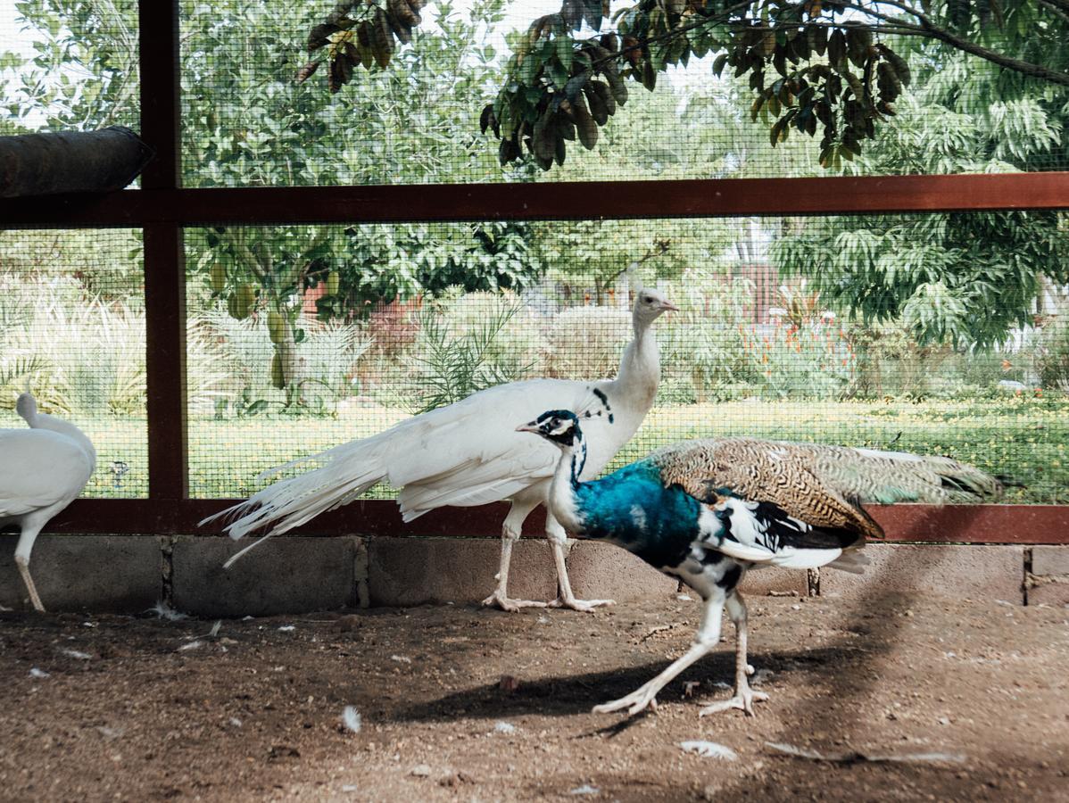 Rai Fahpratan Home And Garden Ban Pak Ngam  Exteriér fotografie